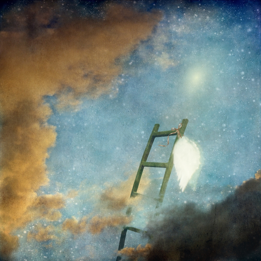 copy of jacobs-ladder-large-wings.jpg